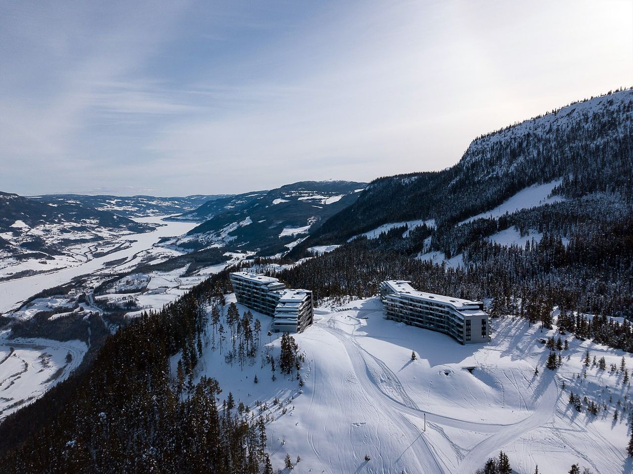 Forest and slopes